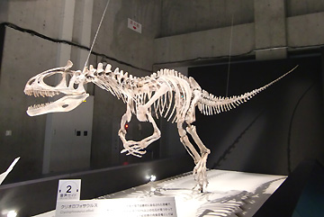 クリオロフォサウルスよ
